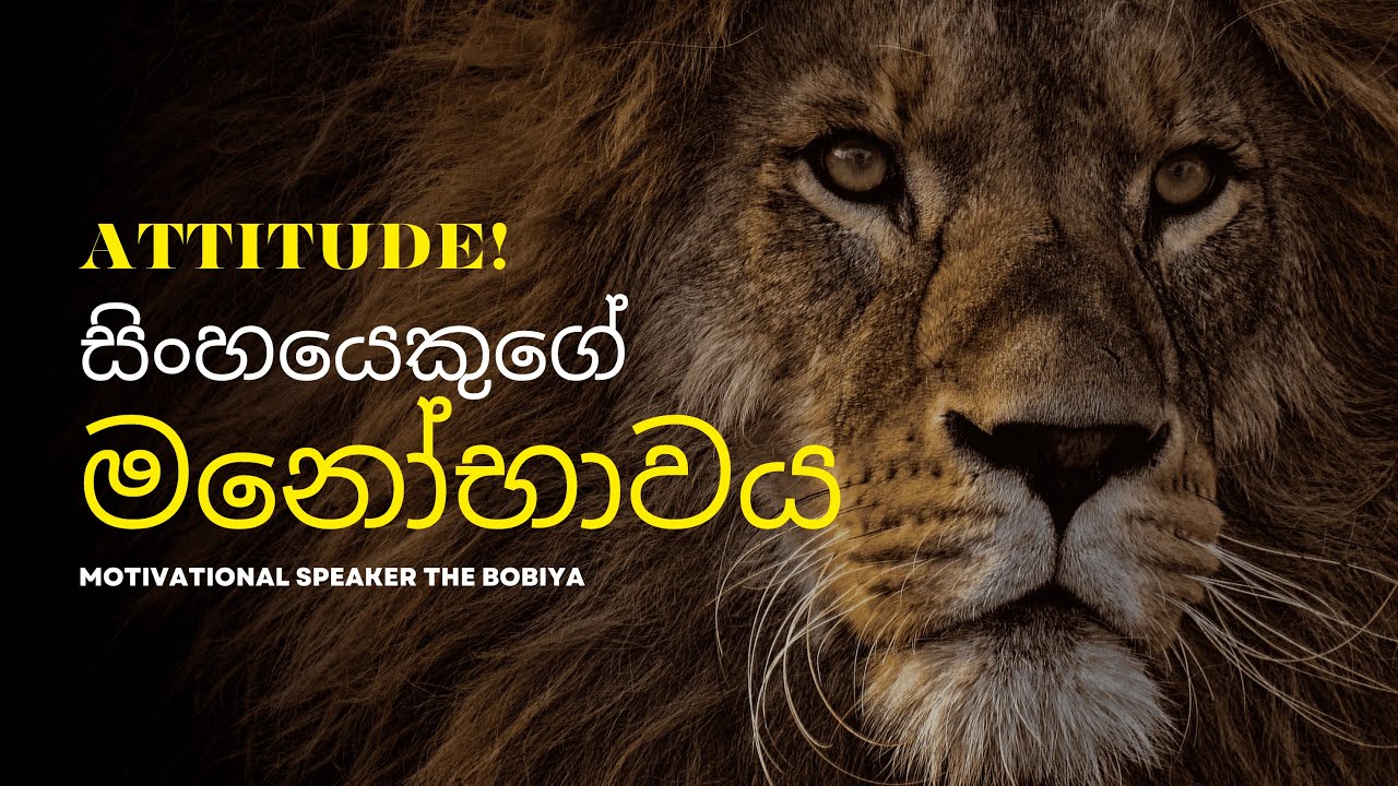 ATTITUDE – සිංහයකුගේ මනෝභාවය | Lion Mindset Sinhala Motivation | The Bobiya