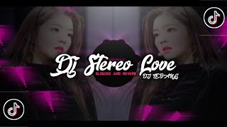 DJ STEREO LOVE SLOWED AND REVERB VIRAL TIKTOK ( DJ TEBANG )