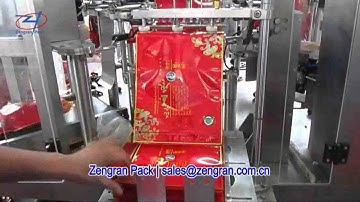CF8-300 Automatic Dates Rotary Packing Machine —Zengran Pack