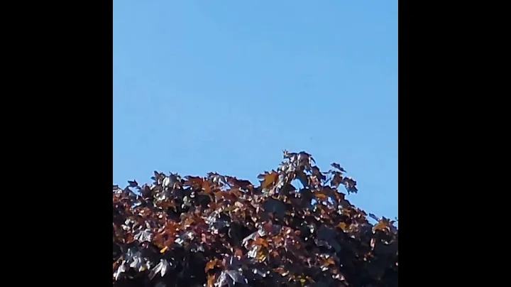 Porter Airlines DHC 8-400 (C-GLQV) Flying at 12,000 ft (07/08/2023)