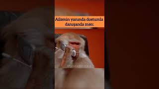 Whatsapp Status Üçün Videolar,Gülməli Statuslar,Mənalı Videolar,Maraqlı Yazılı