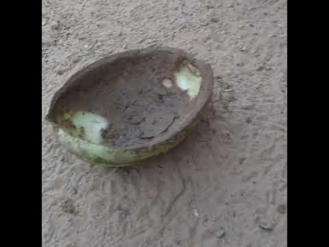 Сексуалдық порно бұрмаланған бейне