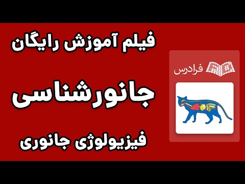 آموزش فیزیولوژی جانوری 1 - سلول و سطوح سازماندهی