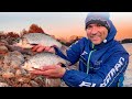 Рыбалка на фидер осенью / Наловили плотвы / Как найти место ловли/  Рыбалка 2021