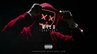 HARD Boom Bap Type Beat - Wild (Dark type Beat) | Freestyle Rap Instrumental