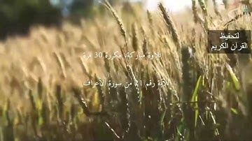 الآية رقم 21 من سورة الأعراف   مكررة 30 مرة