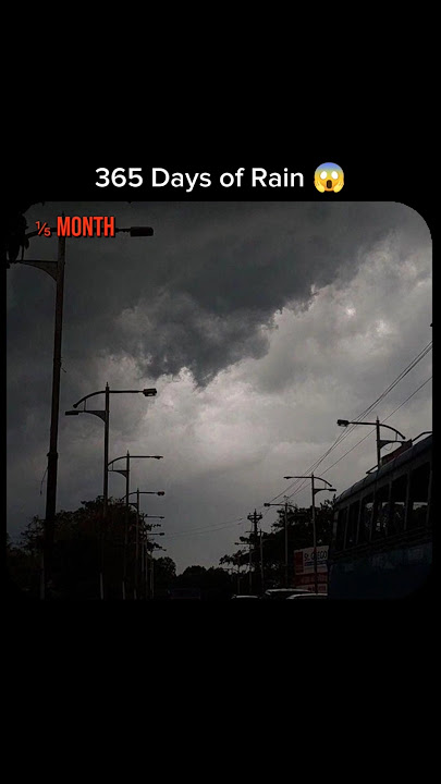 1 Year of Rain Changed Everything… 😨