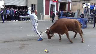 2022/12/04 - TURÍS   VACA &quot; CUCA &quot; - Nº 15 G 2 - GANADERIA VTE BENAVENT - QUATRETONDA ( V )