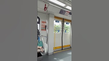 LRT Jakarta Interior View #shorts #shortvideo #lrtjakarta #lrt