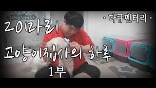 [다큐] 고양이 집사의 하루  1부 - BJ발자국