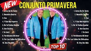 Greatest Hits Conjunto Primavera álbum completo 2024 ~ Mejores artistas para escuchar 2024