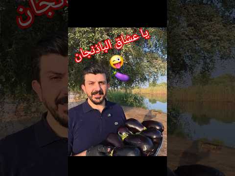 يا عشاق الباذنجان شوفوا أطيب متبل باللحمة على الحطب طبخ 