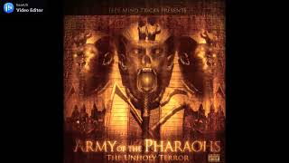 ARMY OF THE PHARAOHS - HOLLOW POINTS