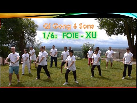 Qi Gong 6 healing sounds XU (1/6): Work the energy of the liver, Pr. Wang De Feng - English subtitle