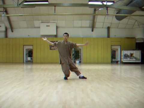 Shaolin Tai Ji Meister Shi Yan Sen