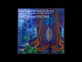 Awakening souls  earth medicine 432hz