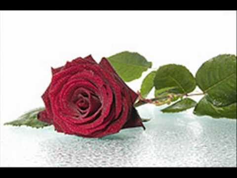 Aranjuez Mon Amour Original By Richard Anthony Covered By Michael Asfahan