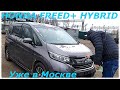 HONDA FREED+, HYBRID, Роман и Юлия встретили в Москве.