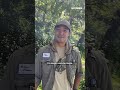 Meet the Minneapolis singles club fighting invasive plants