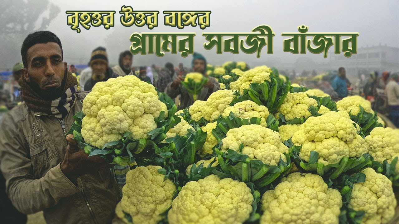 ভান্ডারপুর সবজী বাঁজার । বদলগাছি  নওগাঁ । Vandarpur Sabji Bazar । Badalgachi Naogaon |