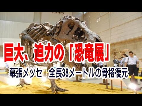 巨大、迫力の「恐竜展」　幕張メッセ　全長38メートルの骨格復元