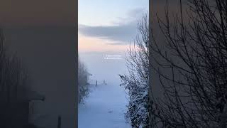 31 days of January in the Dutch polder…🇳🇱✨