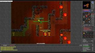 Copper Shield Quest Rookgaard