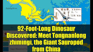 92-Foot-Long Dinosaur Discovered: Meet Tongnanlong zhimingi, the Giant Sauropod from China