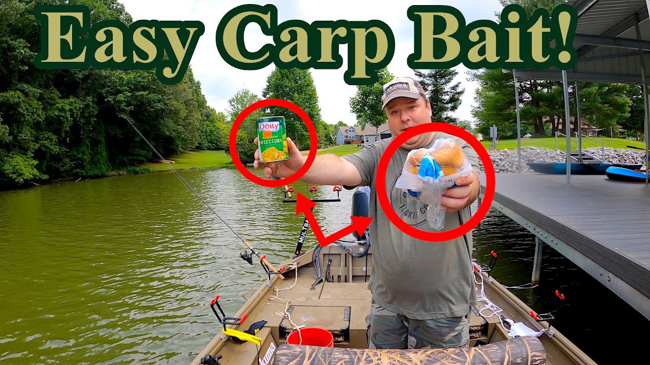 The Easiest Carp Bait That Catches Catfish??? YouTube