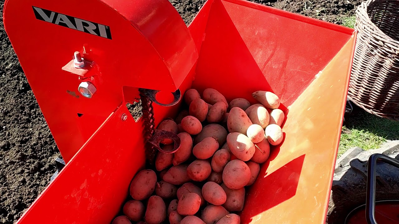 Sazeč brambor SB-40 - inovace 2019
