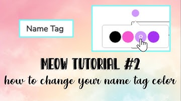 Tutorial #2: How to change your name tag colour!