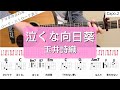 【ギターコードとストローク】泣くな向日葵/玉井詩織【アコギの弾き方】