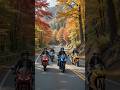 Snake vs. Bike Raiders #made by AI #raider #snake #valley #shorts #bomma