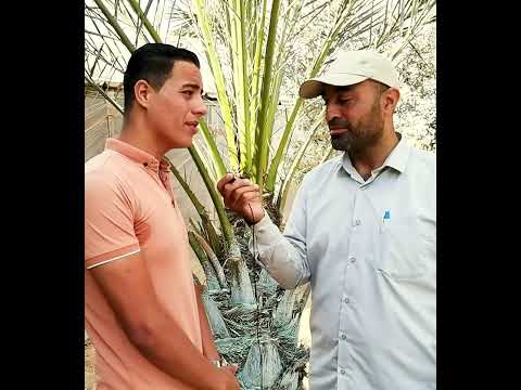 يقلد اشهر القراء بصوت جميل 48 بدي اسمع منك اية من كتاب الله ممكن