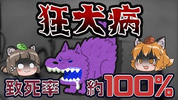 狂犬病ってどれだけ危険なの?致死率ほぼ100%のウイルス…