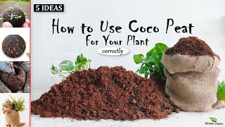 5 Coco Peat Ideas | How to Use Coco Peat Correct Method for Your Plants//GREEN PLANTS by Green plants 3,449 views 4 months ago 7 minutes, 13 seconds