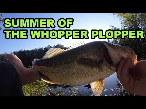 giant trout fishing Big Old Bass On The WHOPPER PLOPPER!