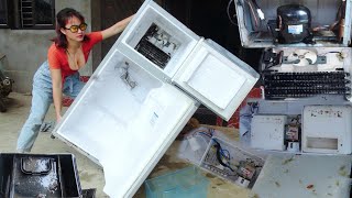 The girl fixed an abandoned refrigerator full of insects and returned it to the homeowner