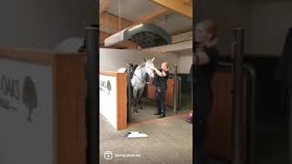 Ad ref 303240 Video 2