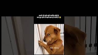 wait #wait #memes #popular #funnymems #humor #viral #funny #cheems #shortsfeed