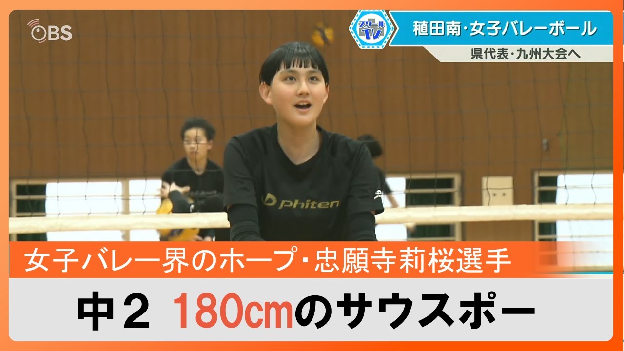 バレー部 太もも 