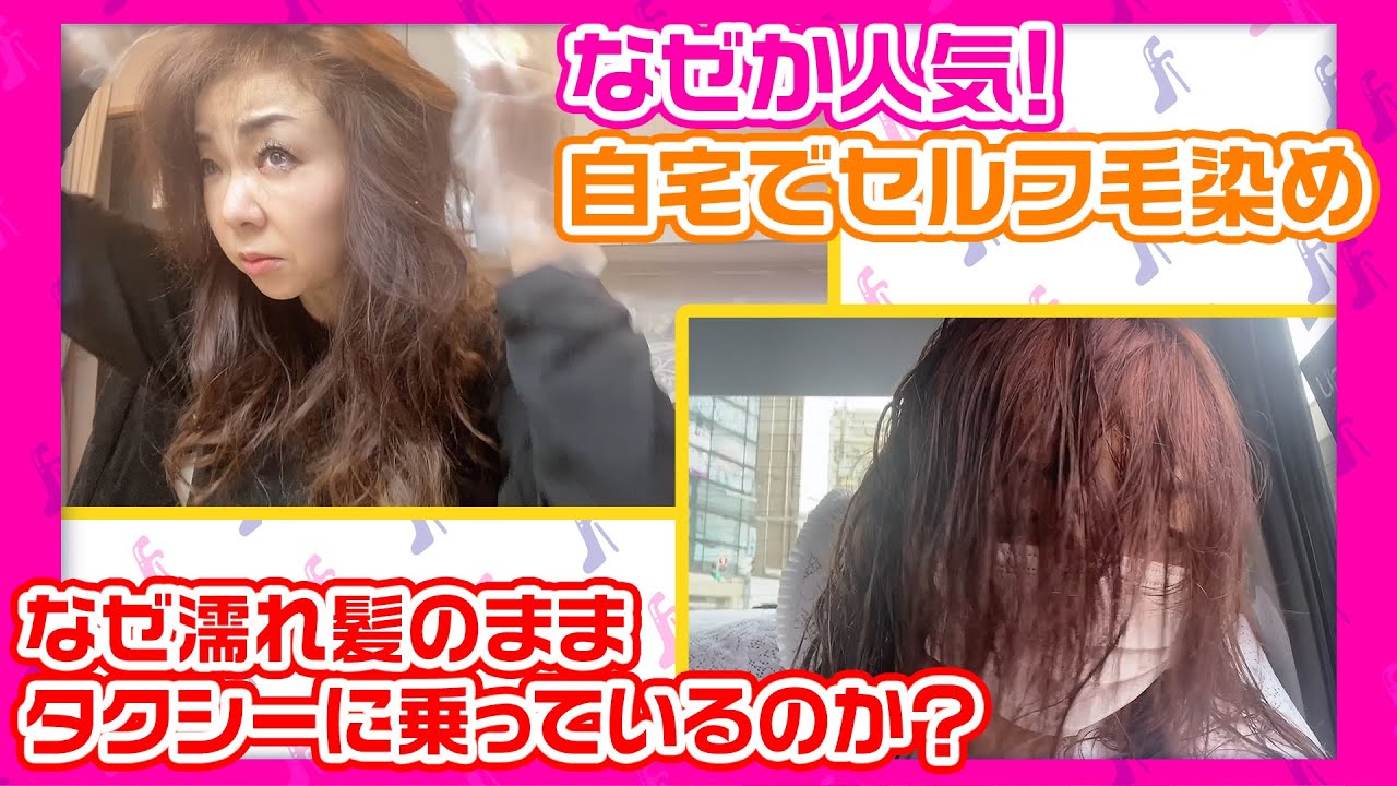 ハイヒールモモコの娘の現在は 大学や顔画像 息子も調査 まめぽち情報局