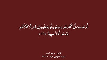سورة : الفرقان الاية :٤١-٤٧/ قارئ : احمد أمين #manhajsalaf 