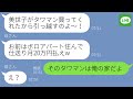 【LINE】出戻り妹を溺愛する母親。兄の俺をATM扱いするので家を出た→2ヶ月後、タワマン最上階に住んでると知った時の毒親の反応が…ｗ