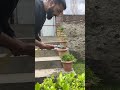 Testing magic shower 🚿