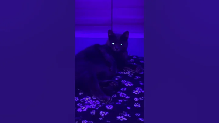 Guys its the only video I could post its been alon...