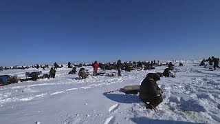 На море за зубатой корюшкой. Народ открыл сезон зубаря