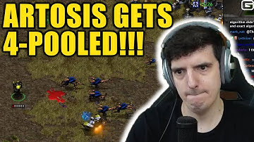 Artosis gets 4-POOLED - Artosis Clips - Starcraft: Remastered Broodwar
