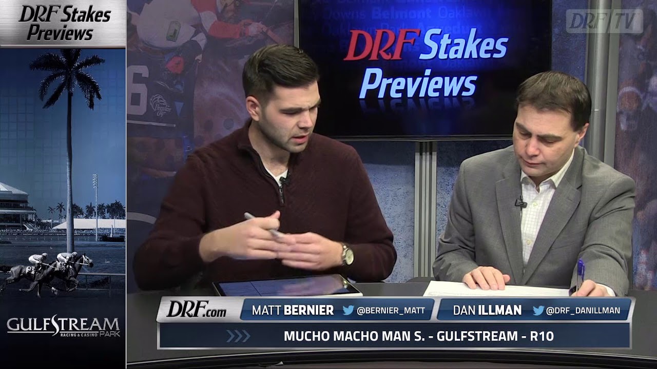 Mucho Macho Man Stakes Preview 2018 YouTube mucho-macho-man-stakes-preview-2018-youtube