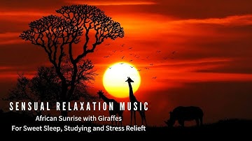 Relaxing Music: African Sunrise with Giraffes Wake up with Bliss